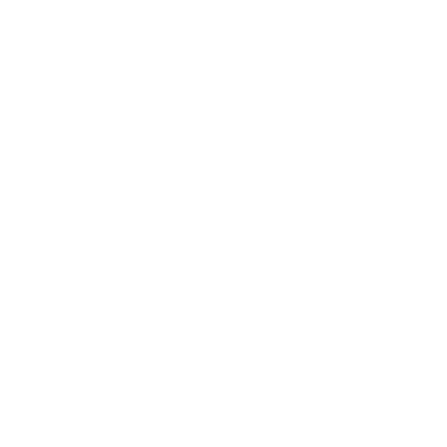 Buggy Paradise