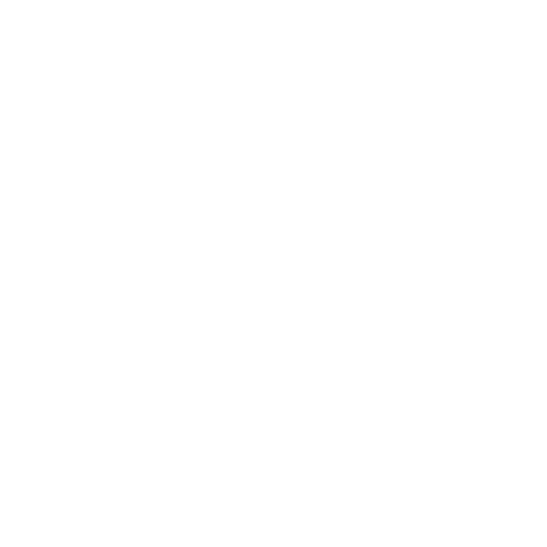 Nuevo Stylo Sur
