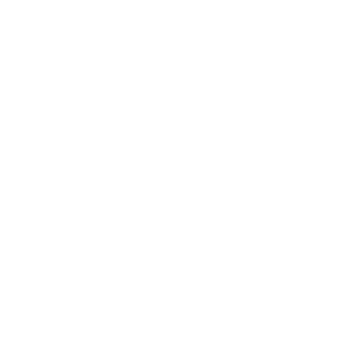 Roulette Charters
